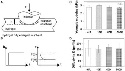 Influence of Hyaluronic Acid Transitions in Tumor Microenvironment on Glioblastoma Malignancy and Invasive Behavior